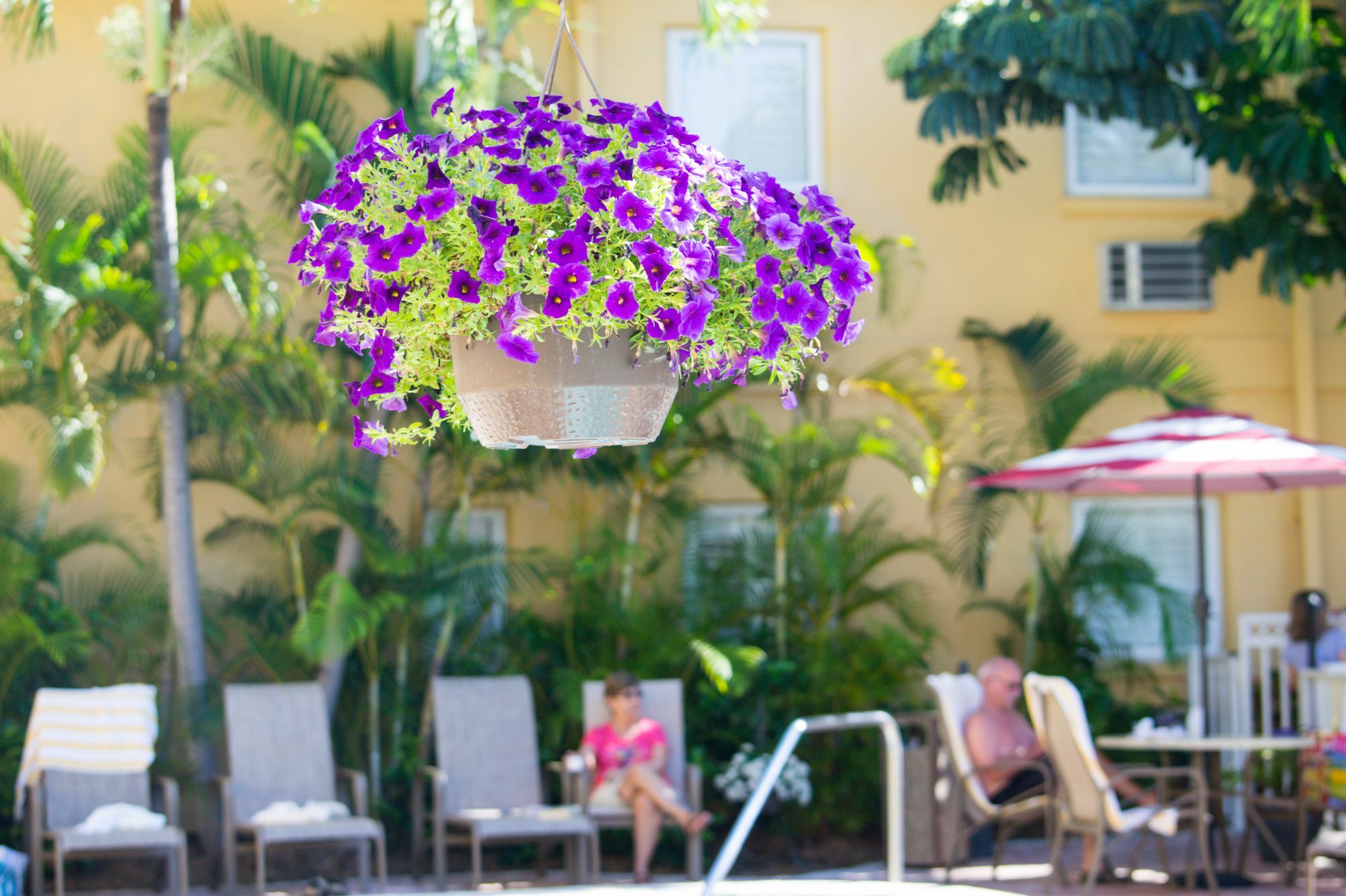 Inn At The Beach-venice Florida Venice